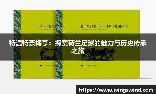 特温特奈梅亨：探索荷兰足球的魅力与历史传承之旅