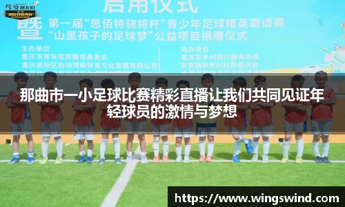 那曲市一小足球比赛精彩直播让我们共同见证年轻球员的激情与梦想